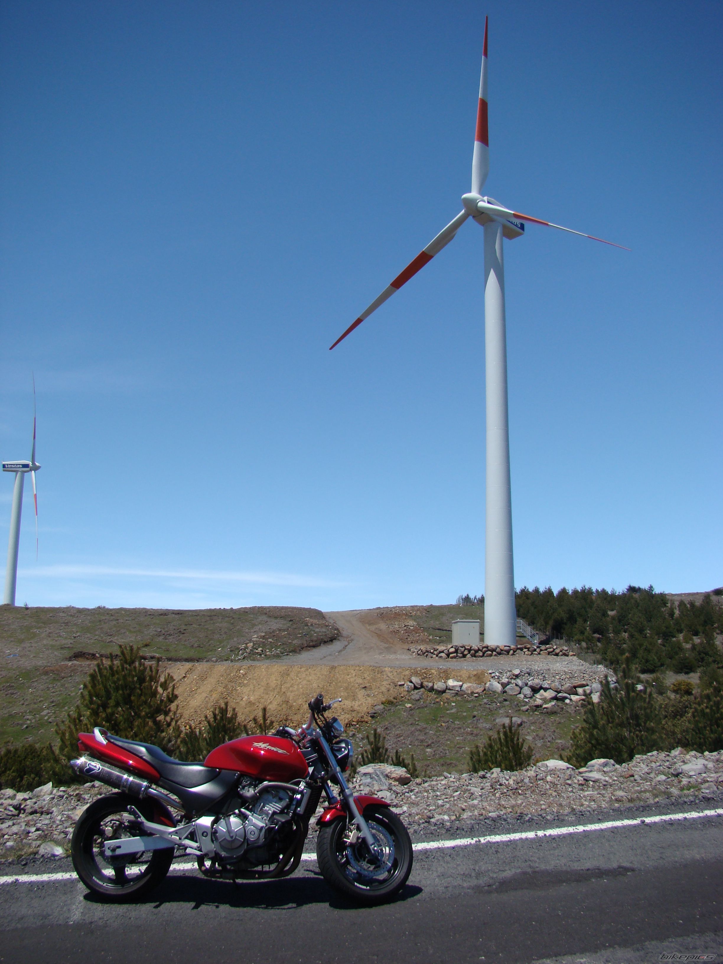 Bike Photo 1652505