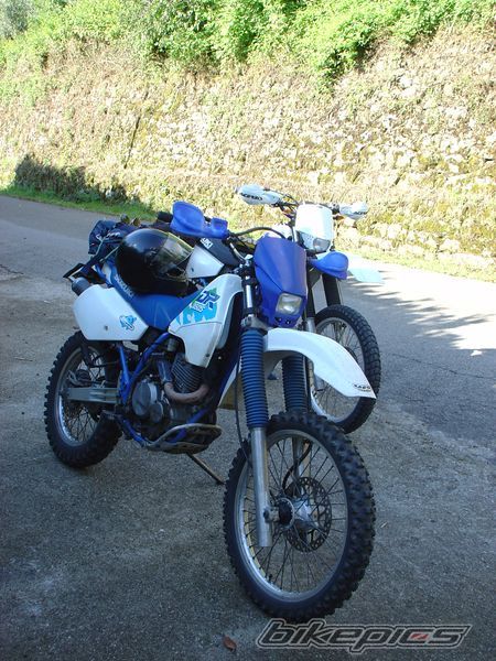 Photo 1652552