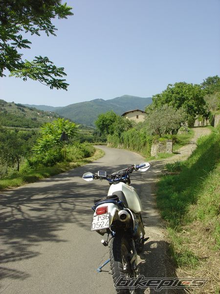 Photo 1652572