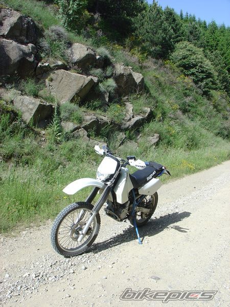 Photo 1652579