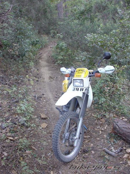 Photo 1652614