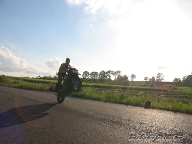 Photo 165262