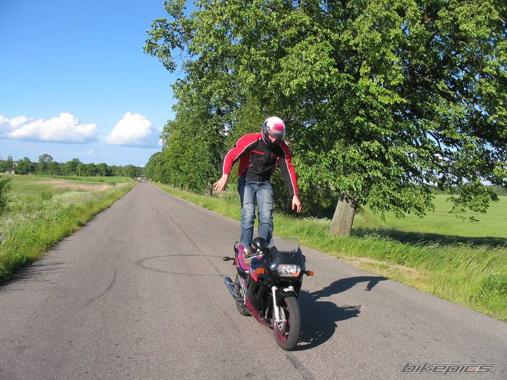Photo 165270