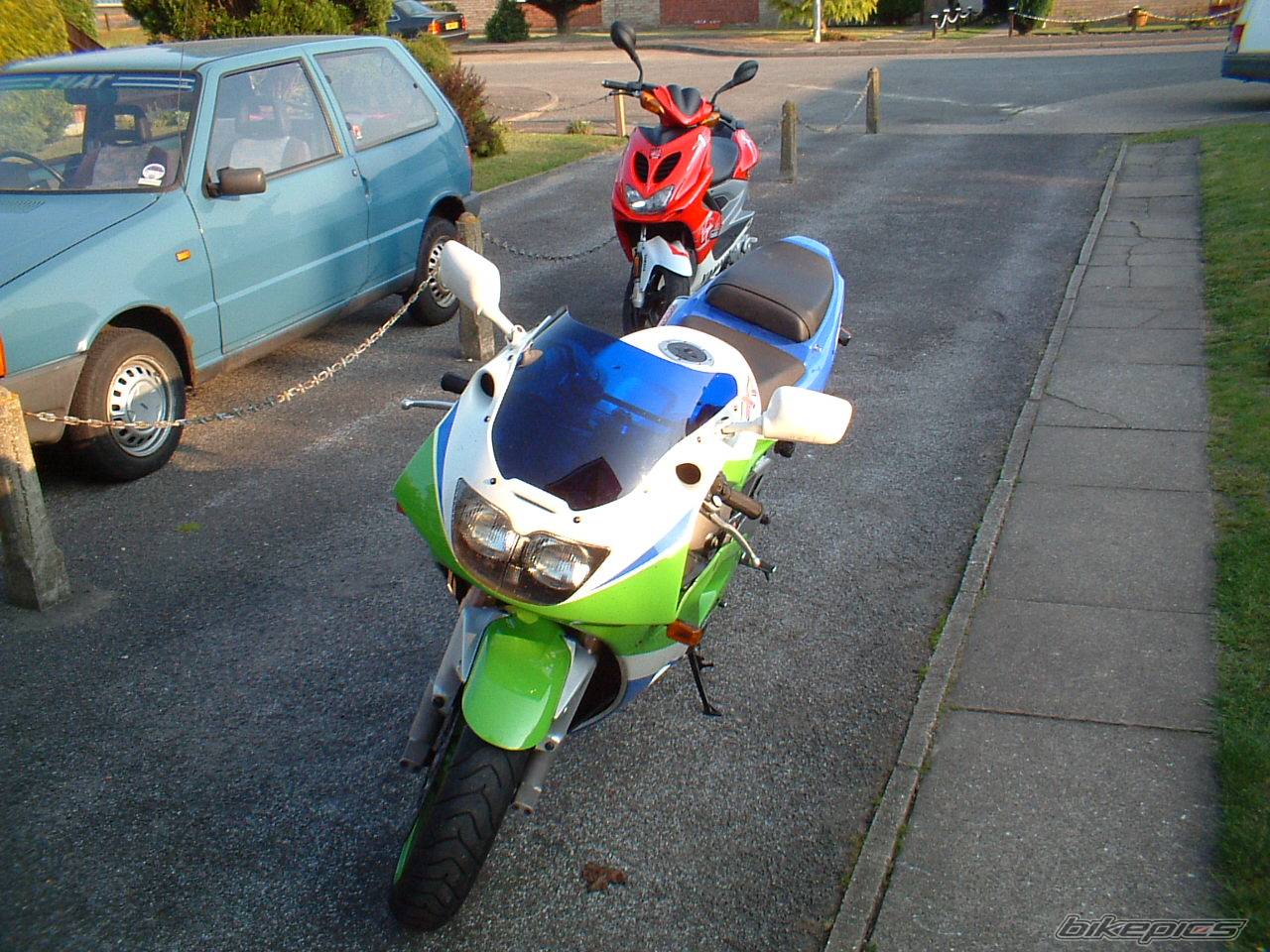 Photo 165271