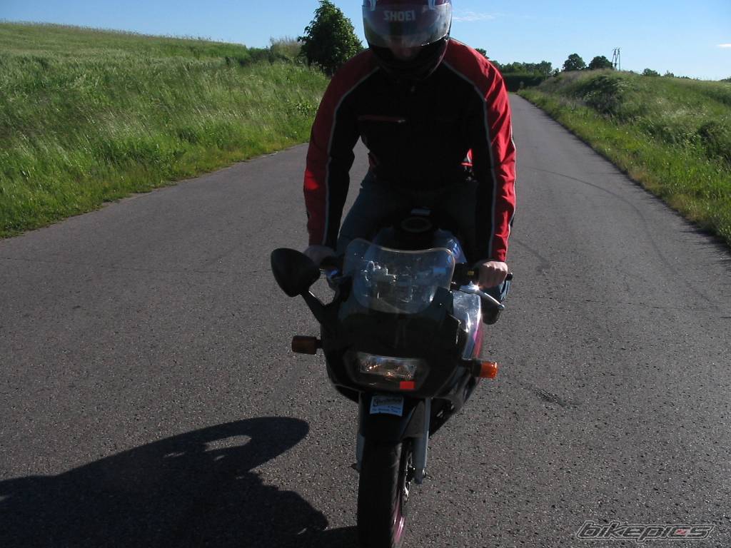 Photo 165272