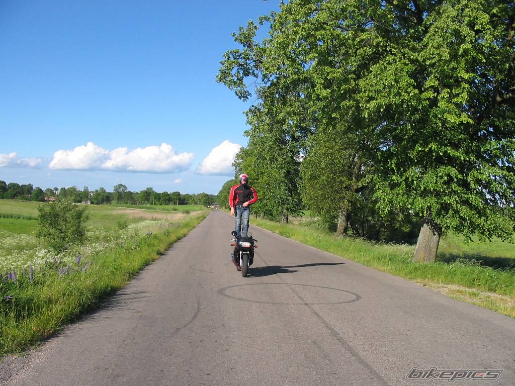 Photo 165274