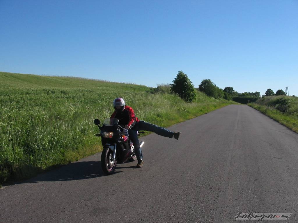Photo 165275