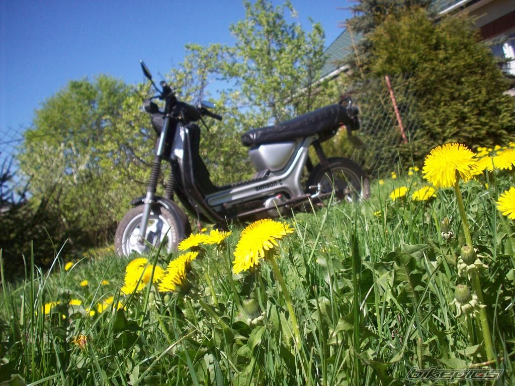Bike Photo 1652804