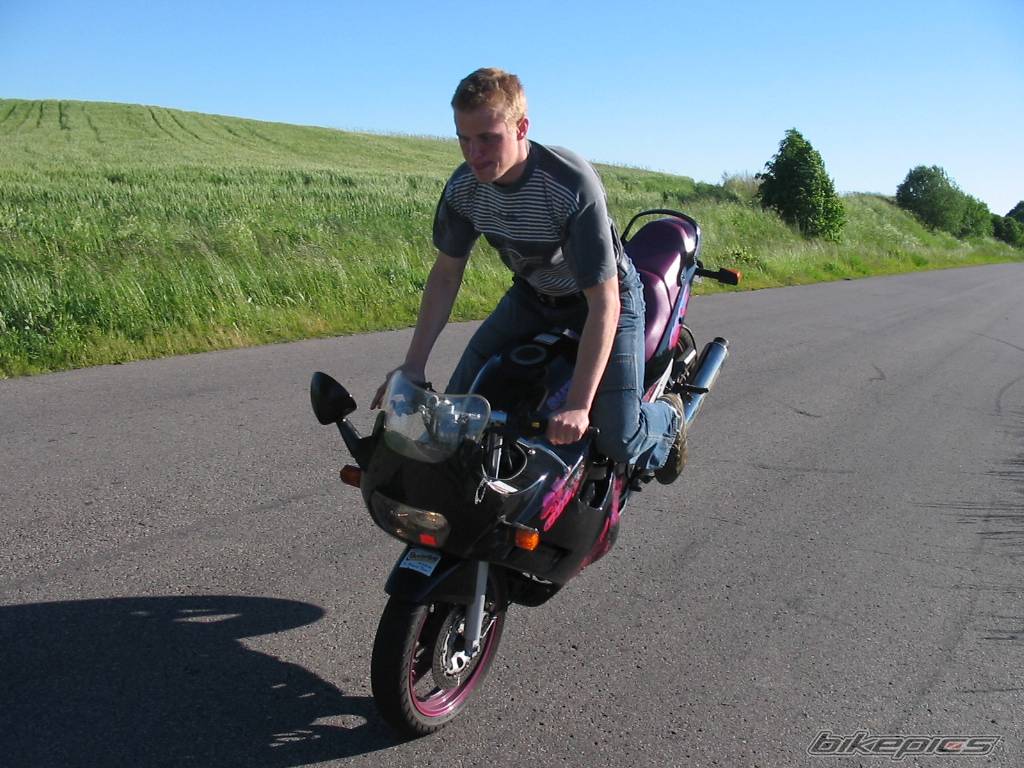 Photo 165281