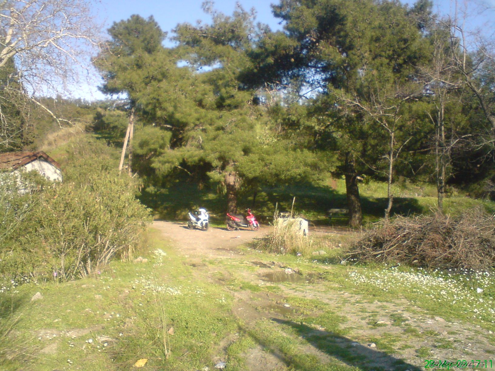 Photo 1652884