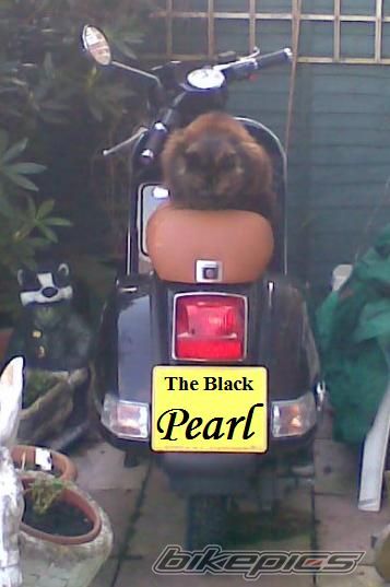 Photo 1652922