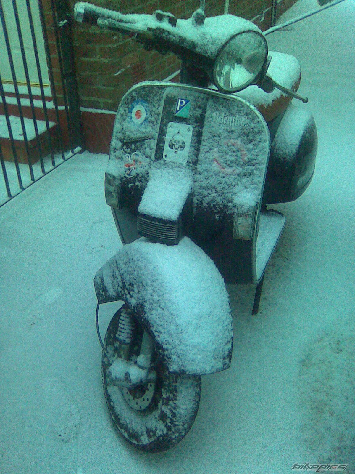 Photo 1652936