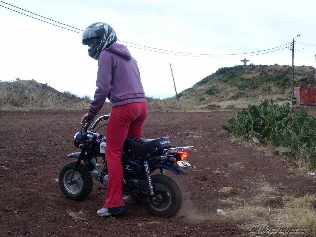 Photo 165296