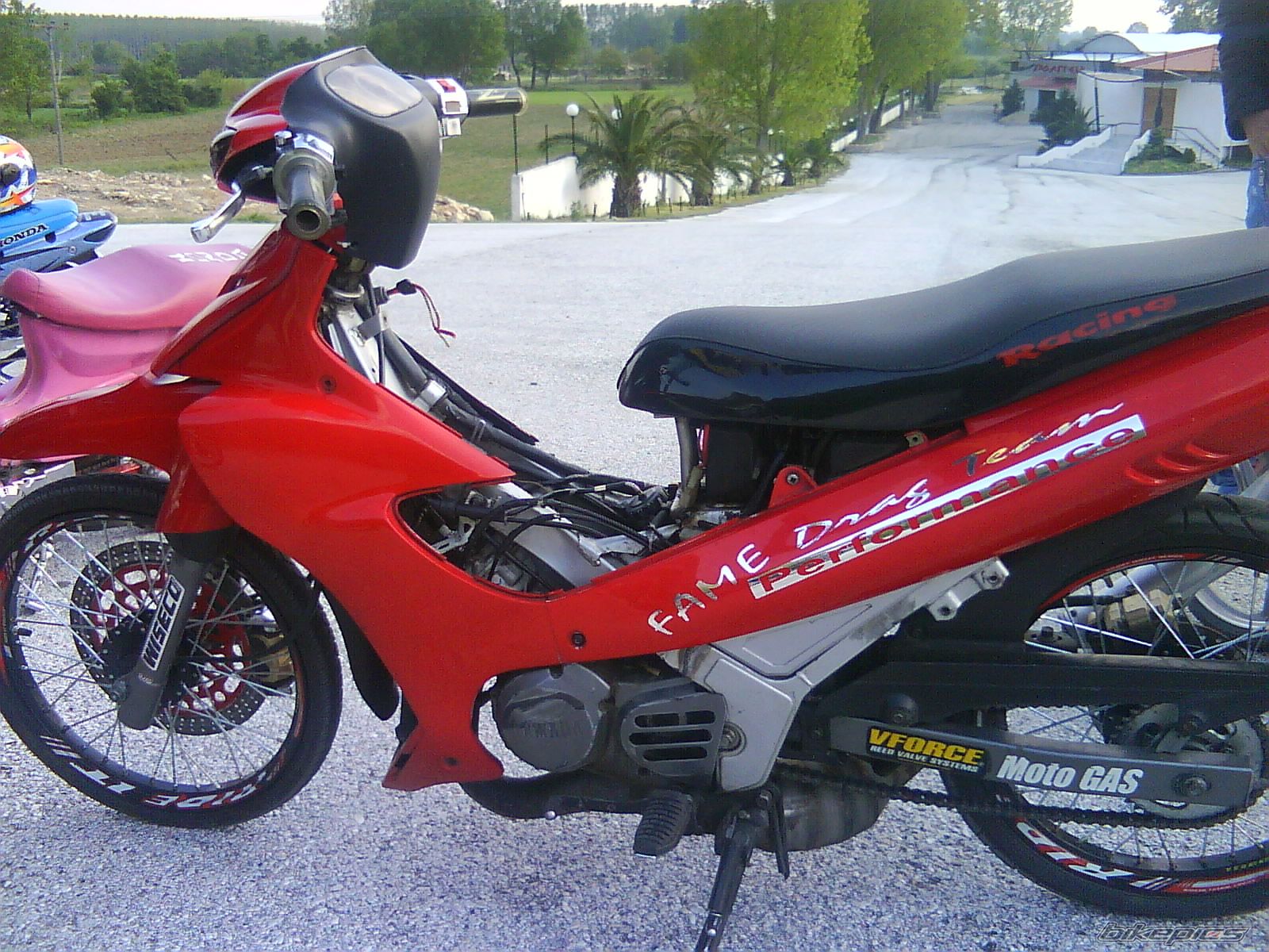 Photo 1653055