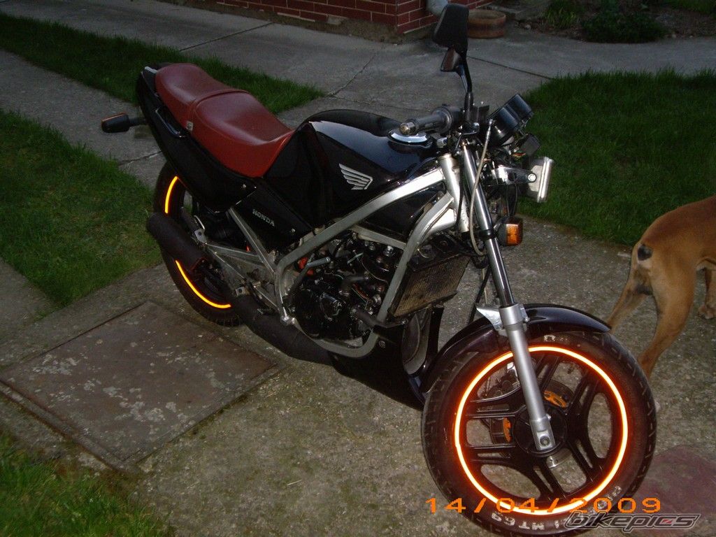 Photo 1653070
