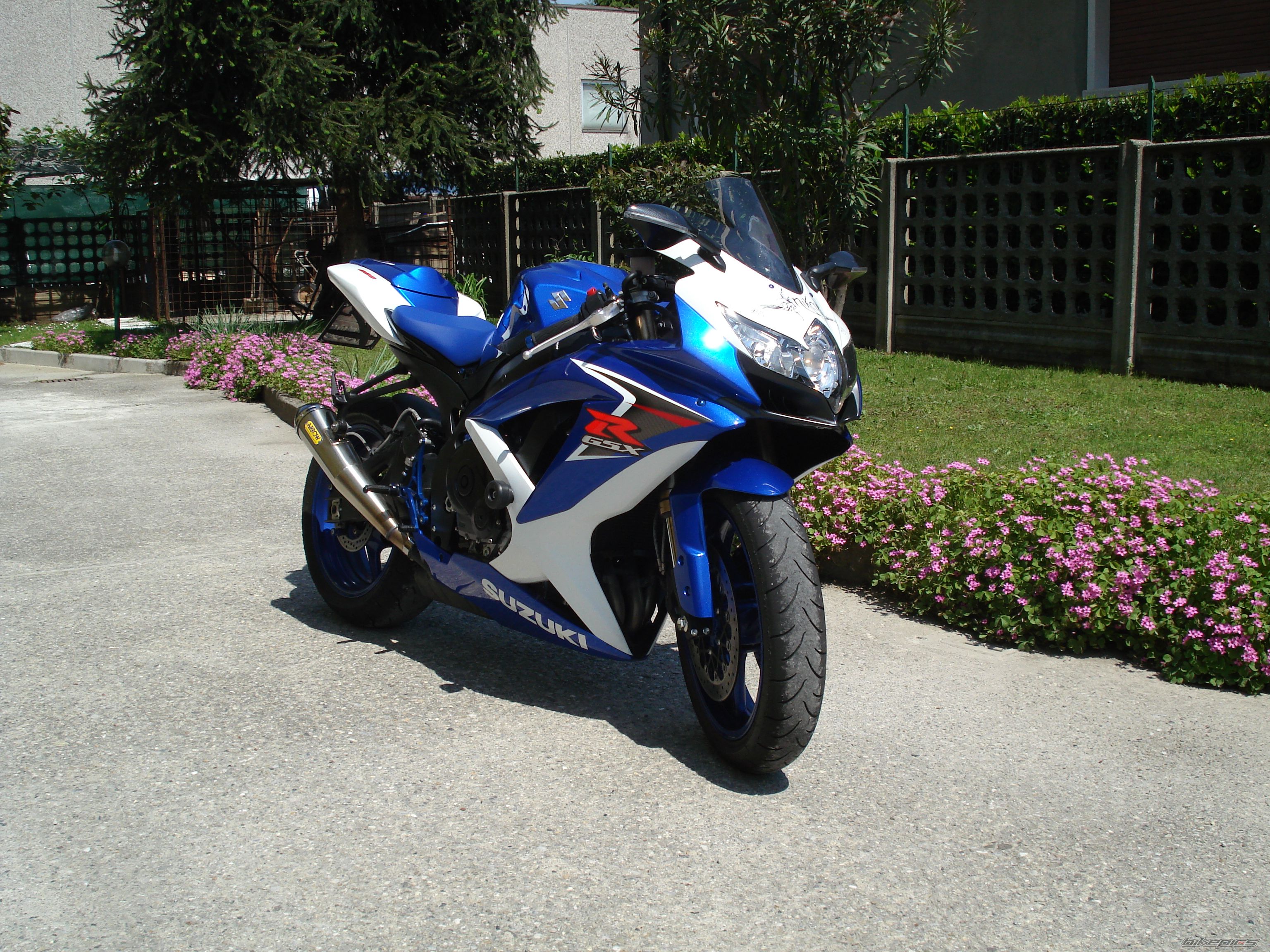 Photo 1653089