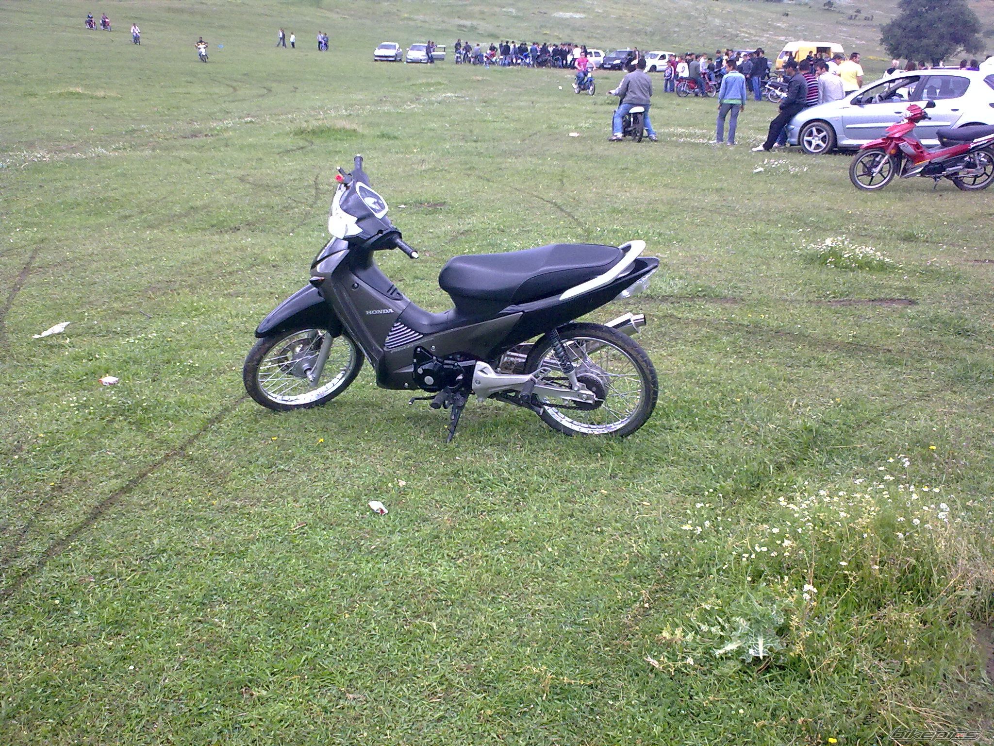 Photo 1653134