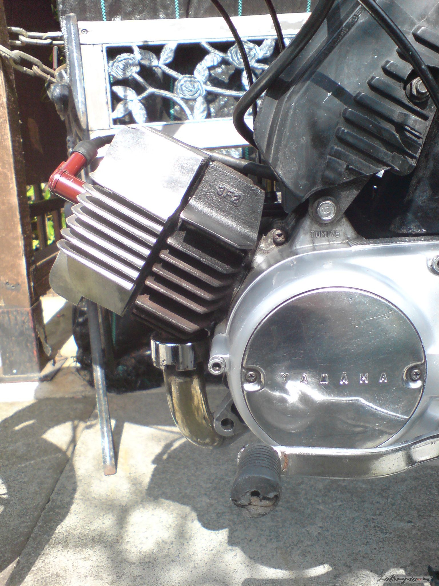 Photo 1653154