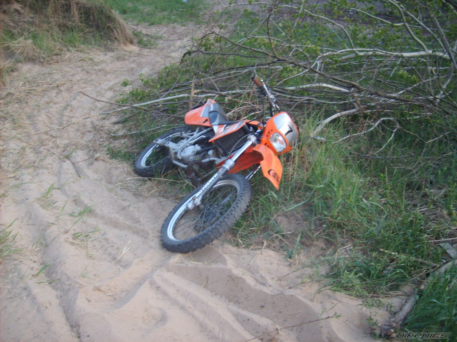 Photo 1653194
