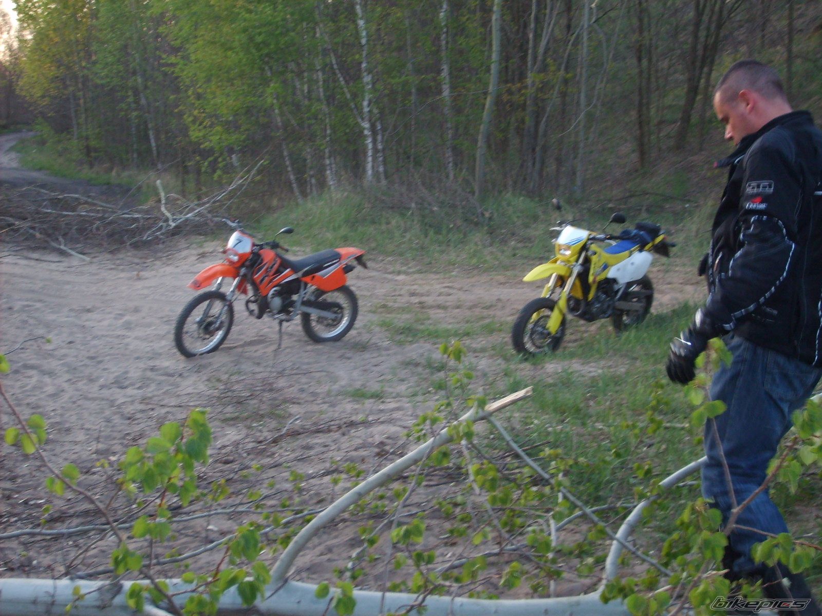 Photo 1653204