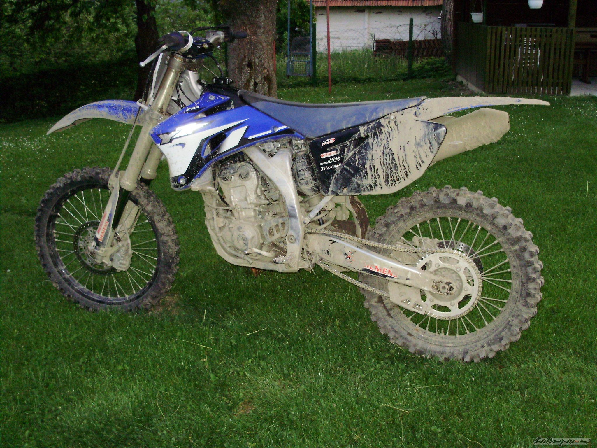 Photo 1653228