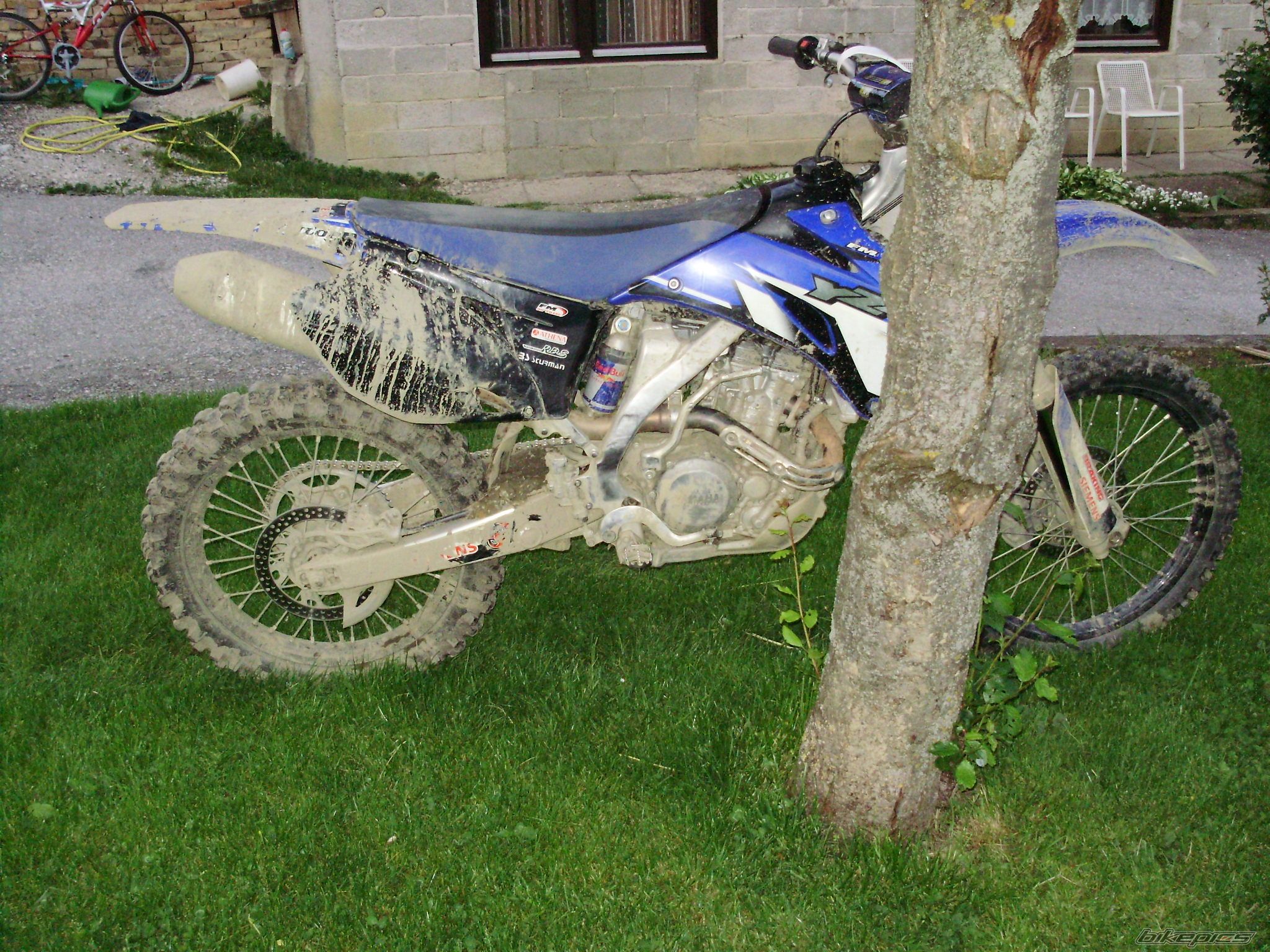 Photo 1653232