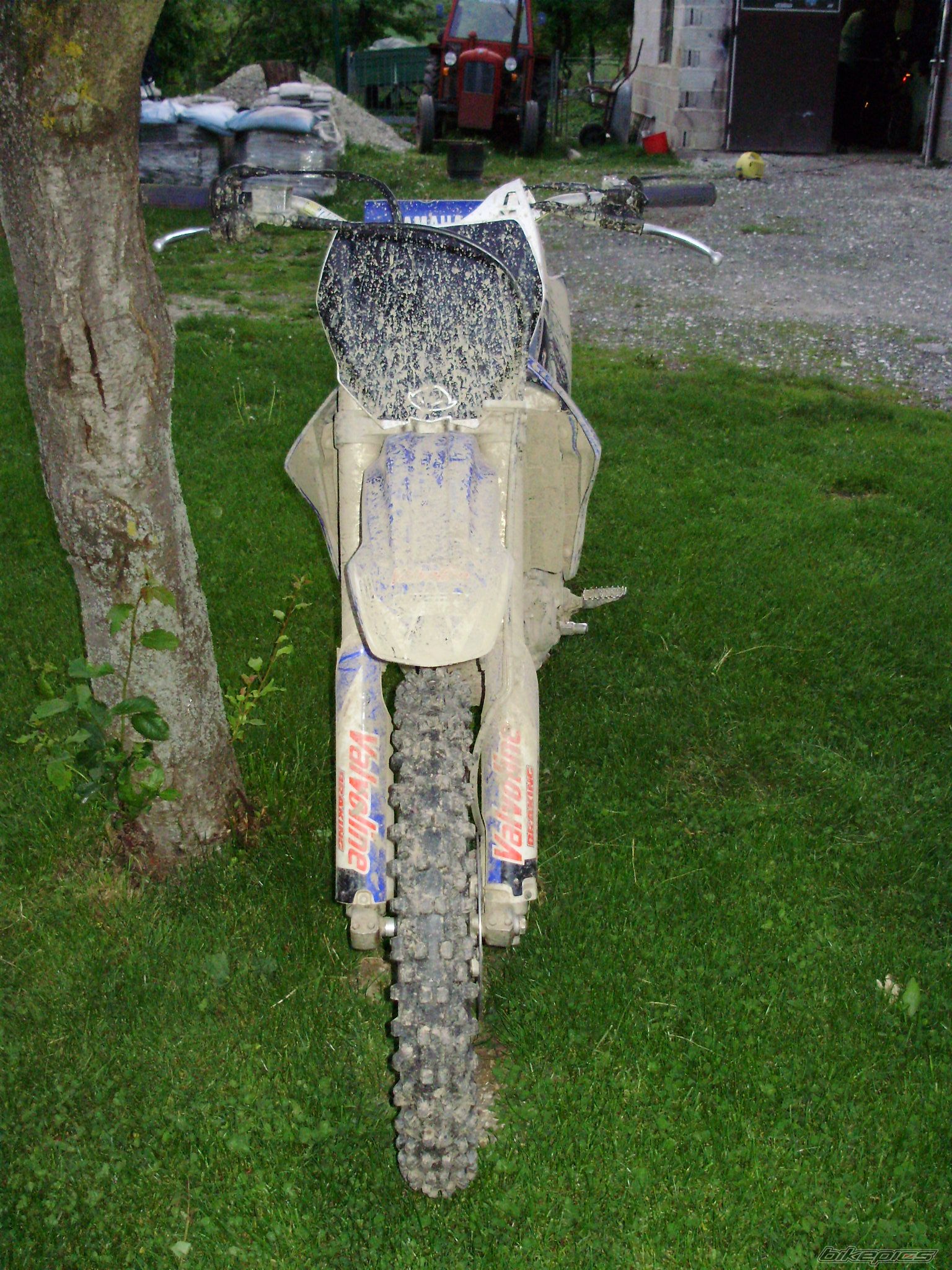 Photo 1653233