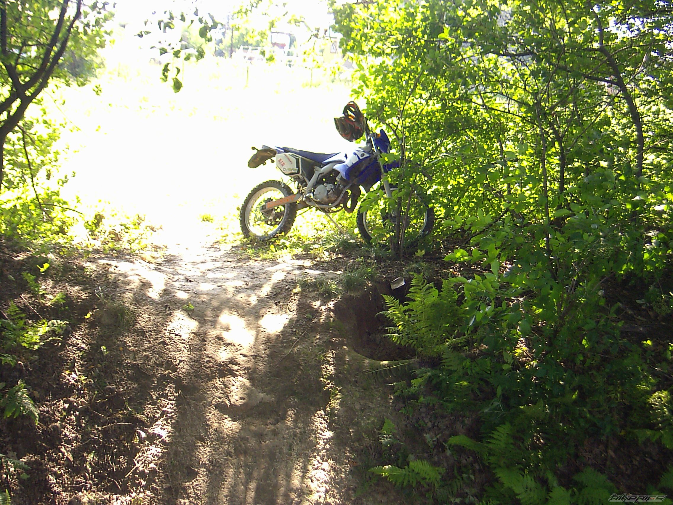 Photo 1653257