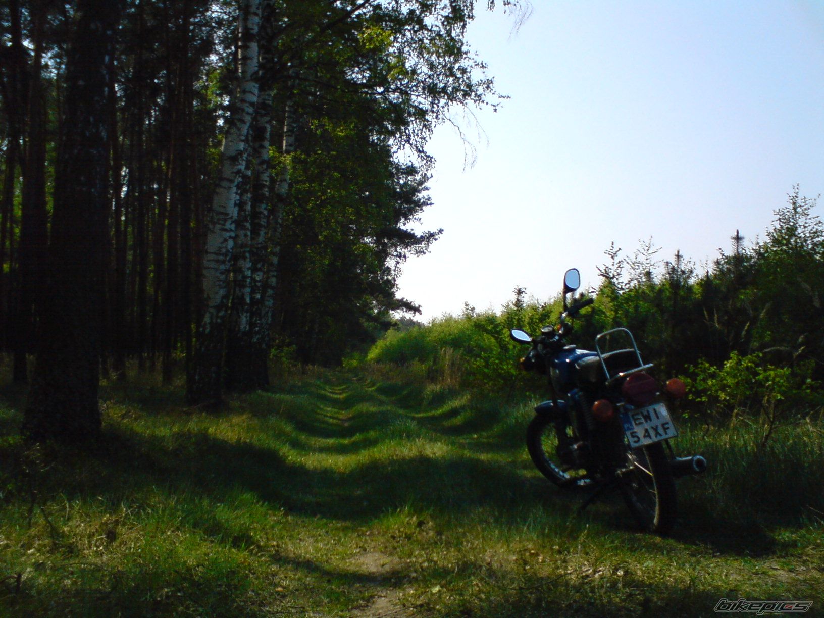Photo 1653261