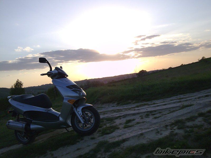 Photo 1653285