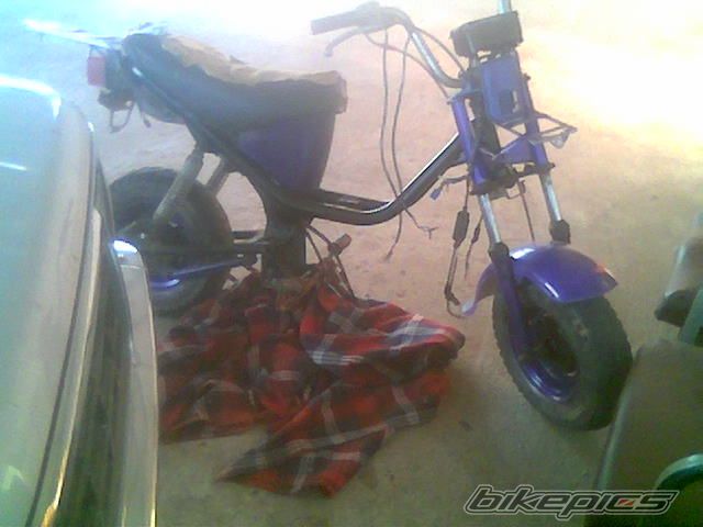 Photo 1653308