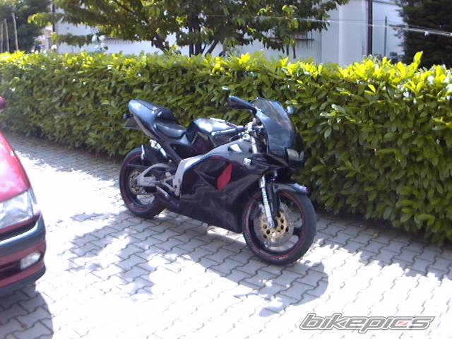 Photo 165361