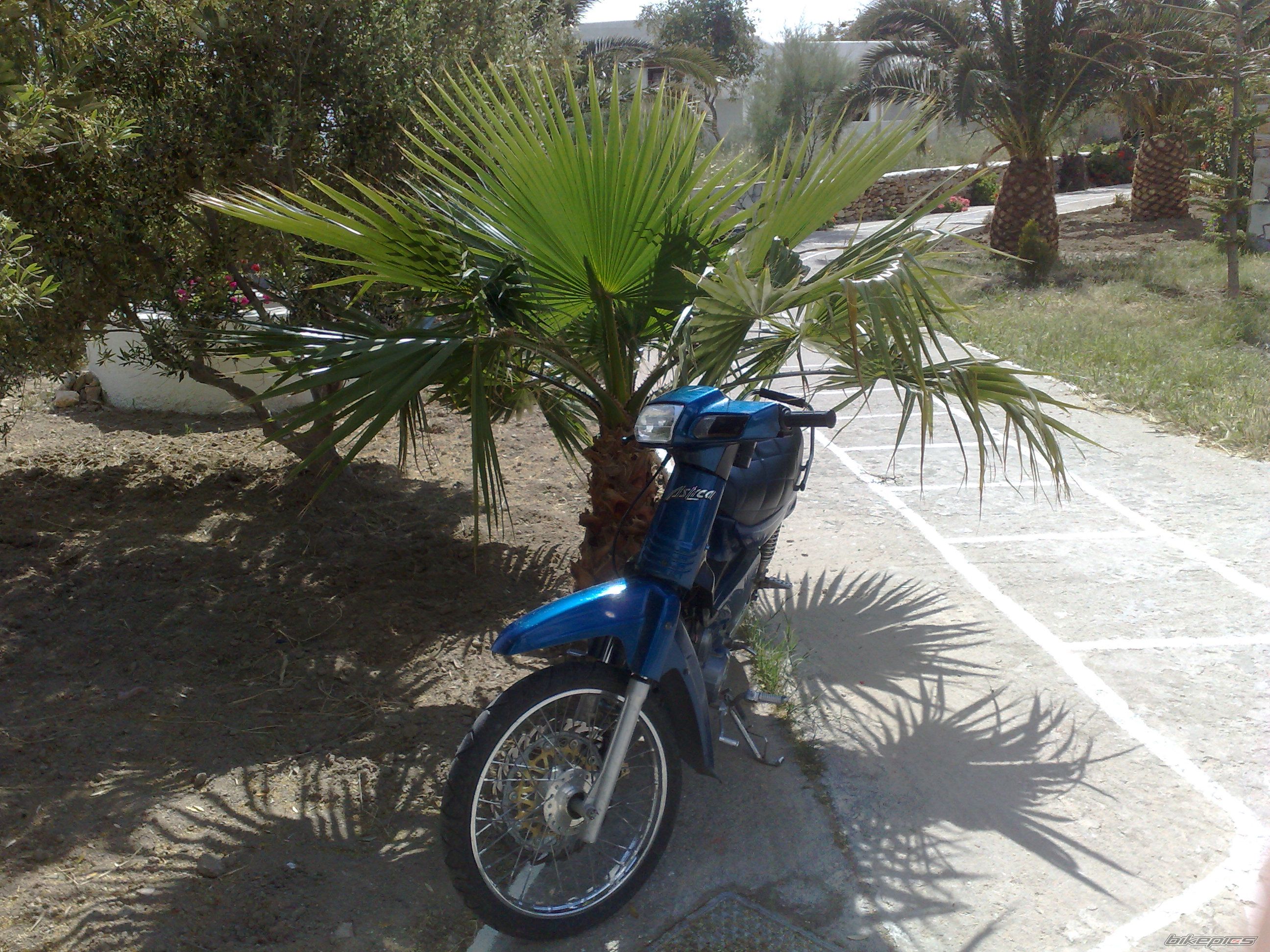 Photo 1653896