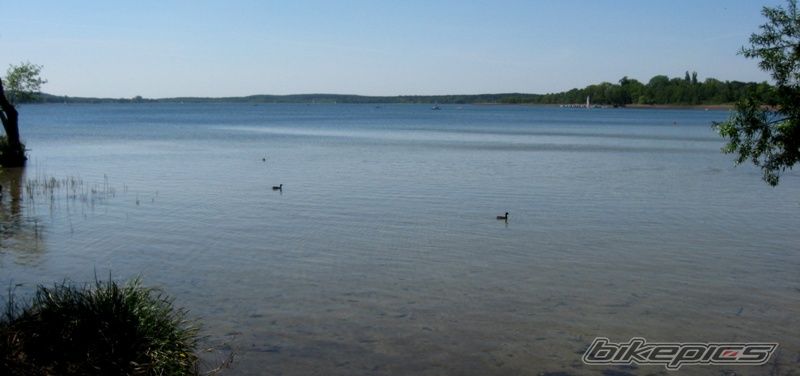 Photo 1653949