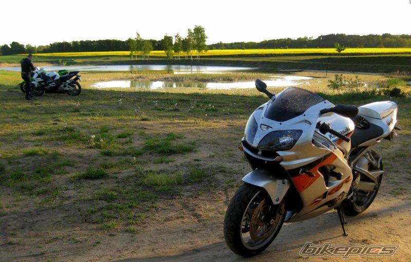 Photo 1653963