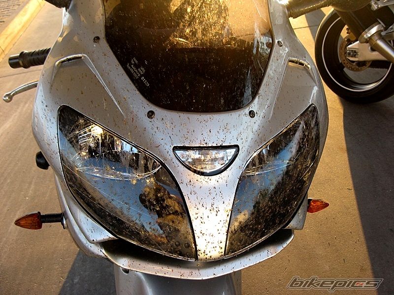 Photo 1653964