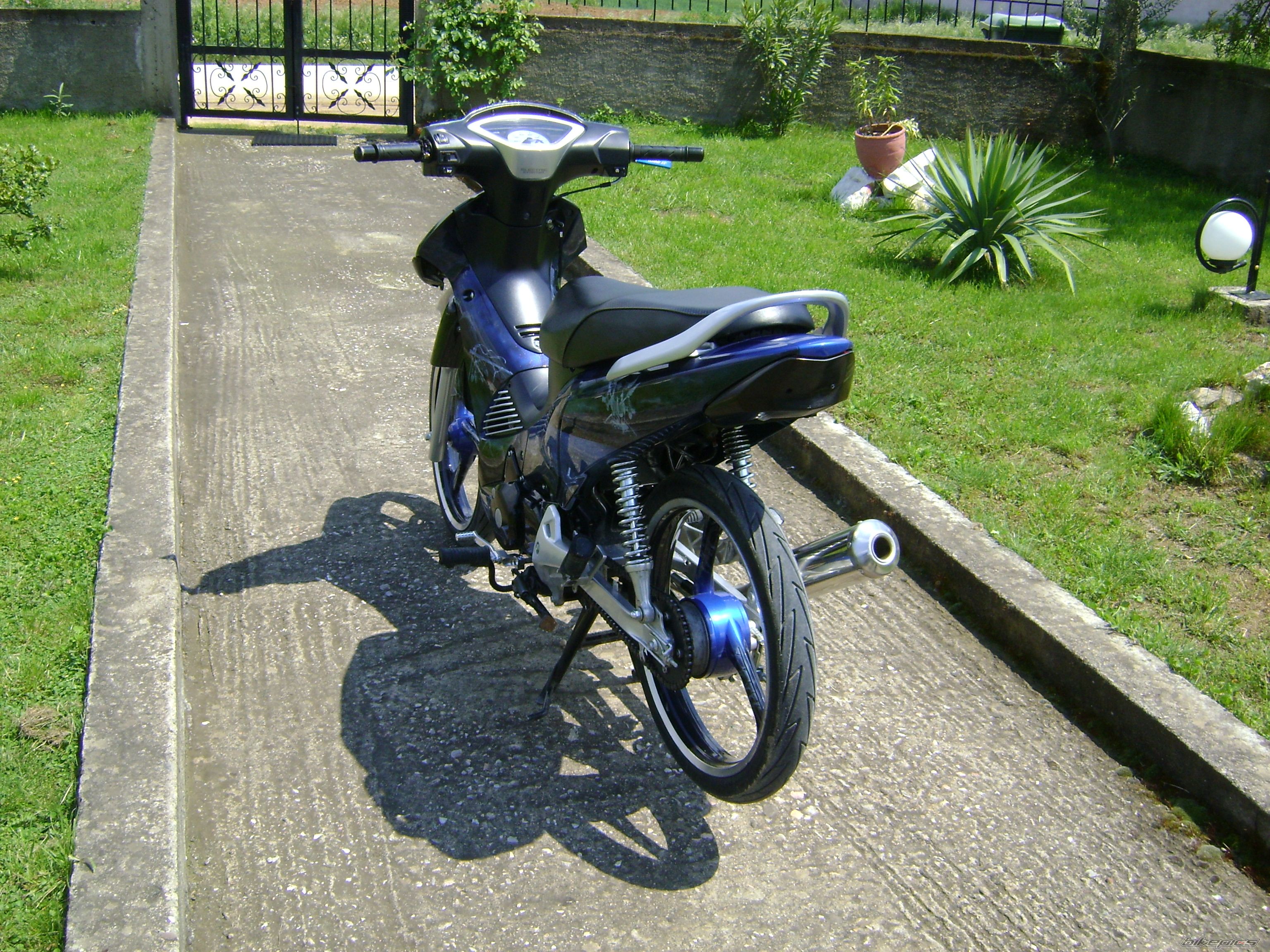 Photo 1654028