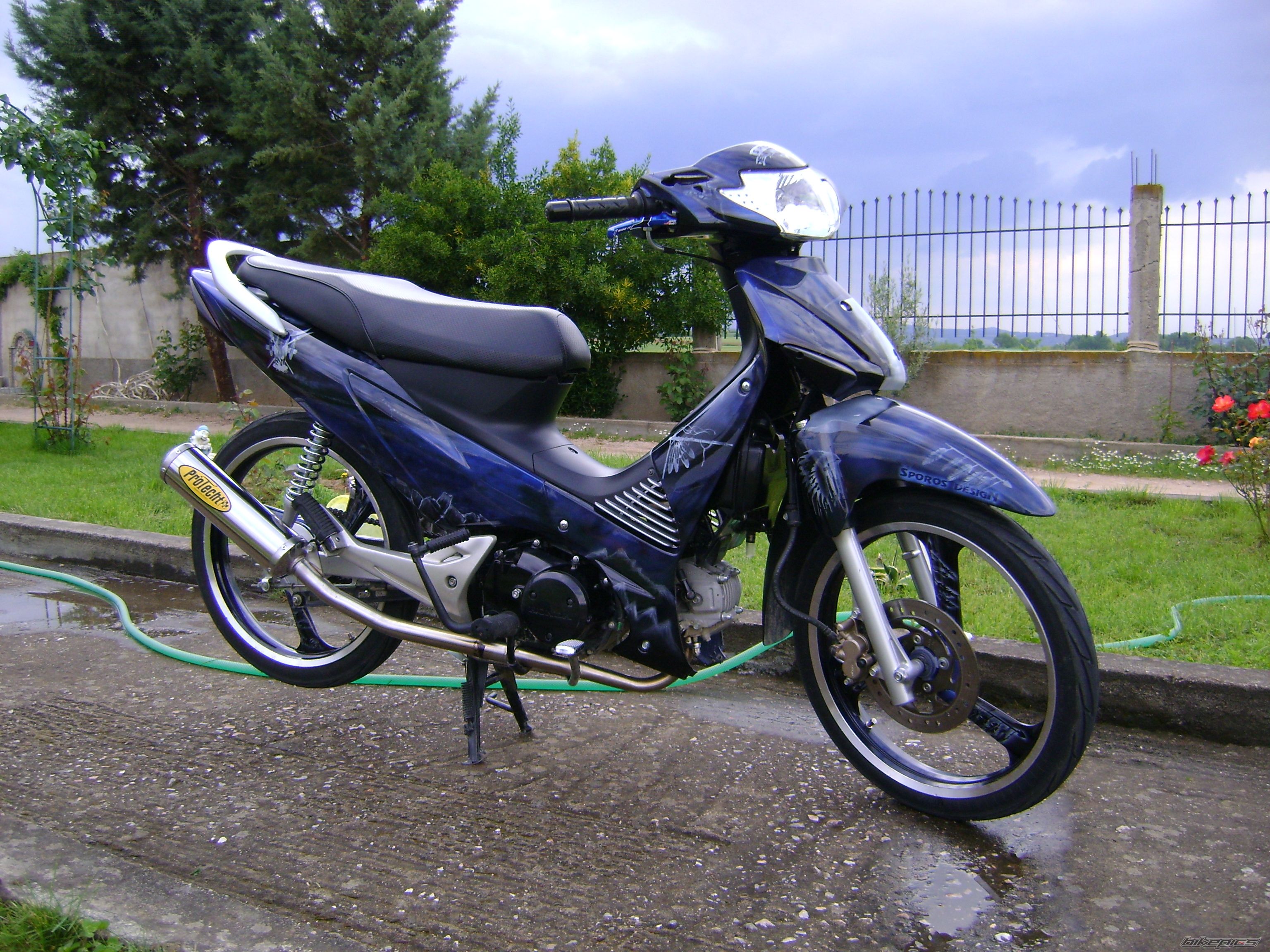 Photo 1654037