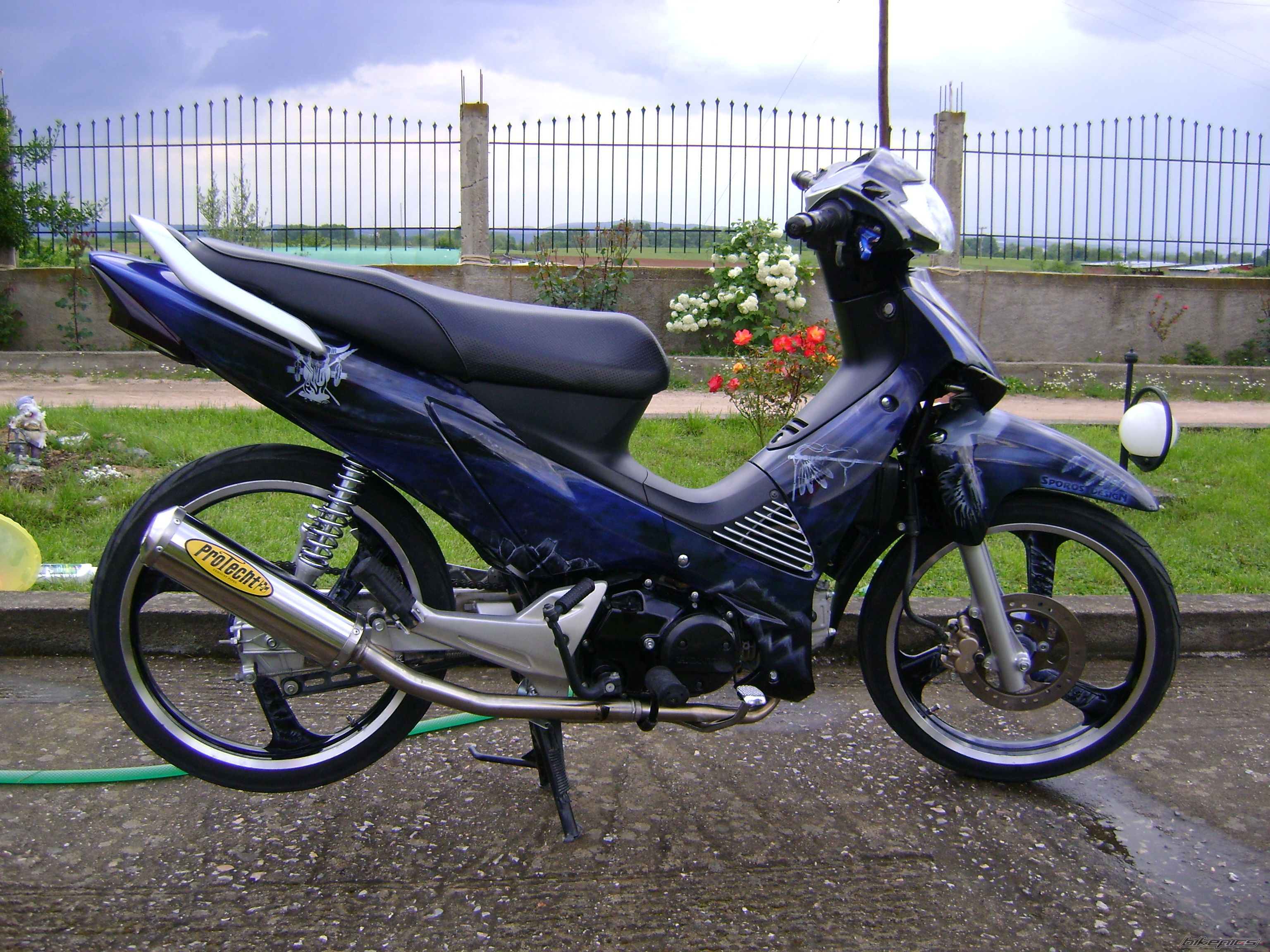 Photo 1654040