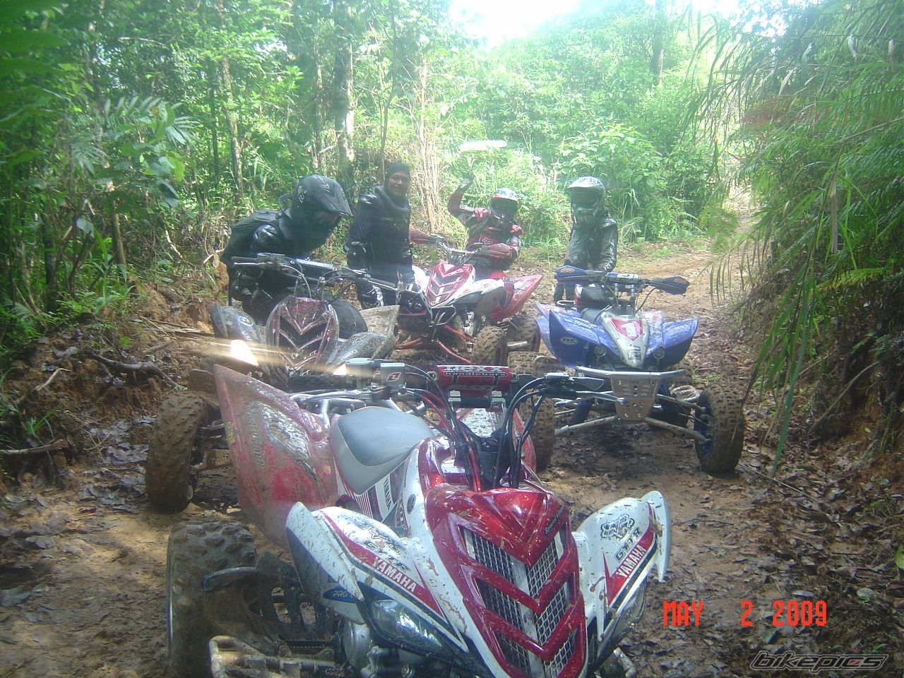 Photo 1654066