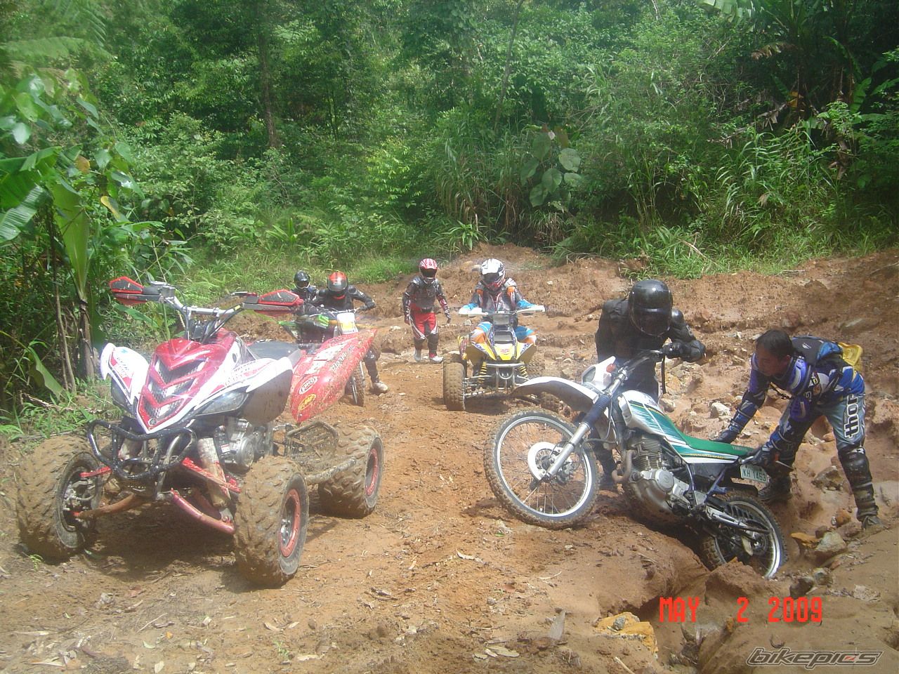 Photo 1654073