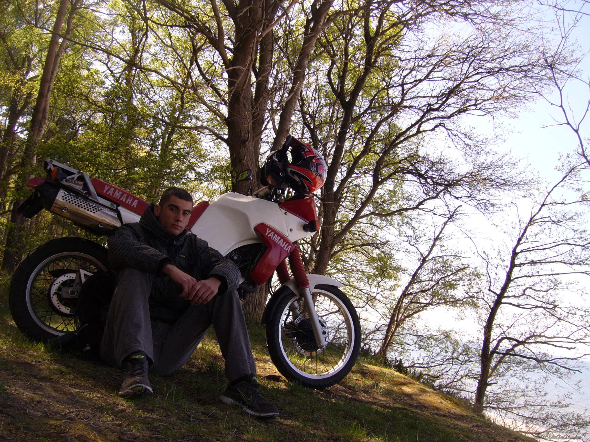 Photo 1654095