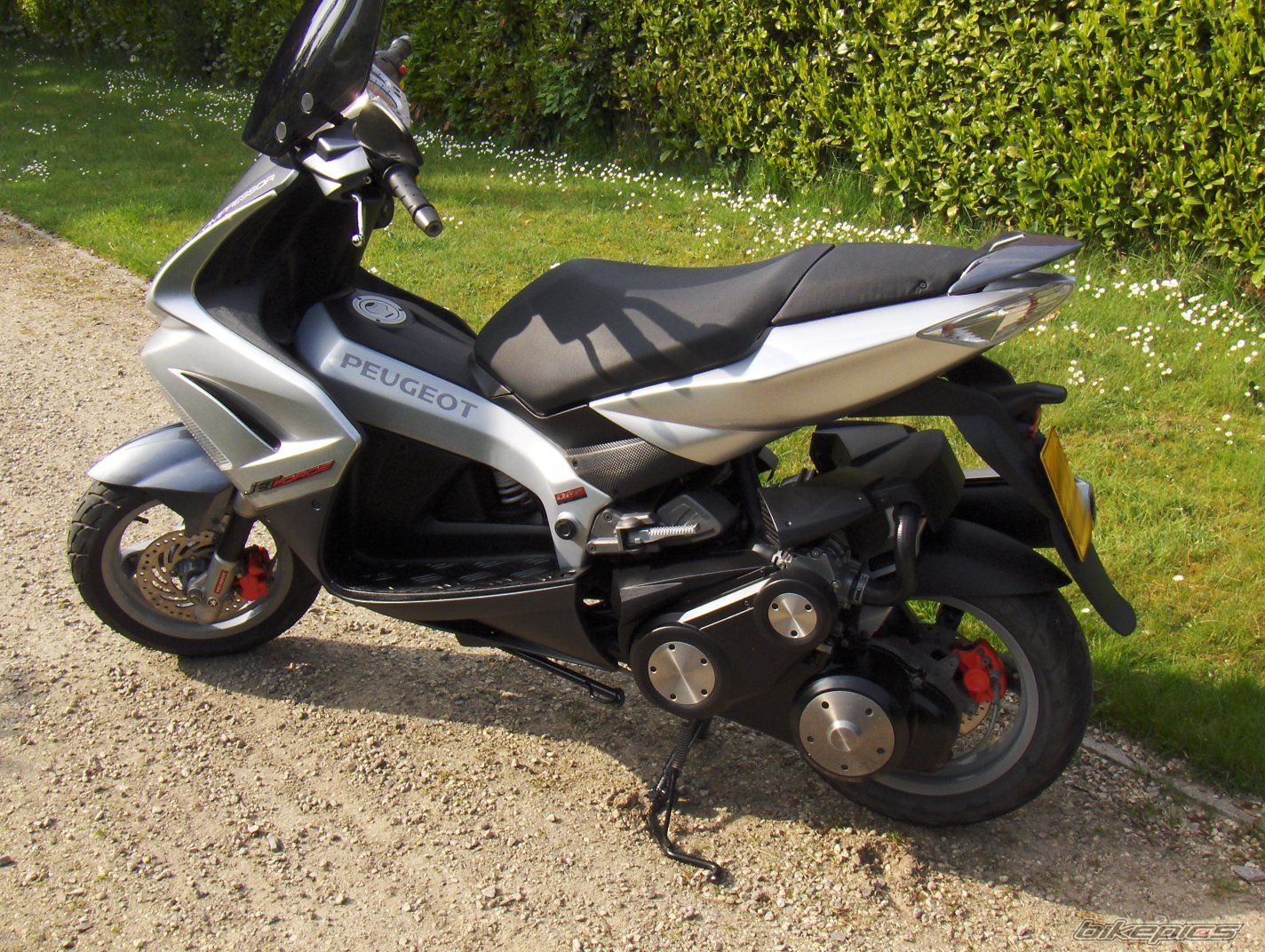 Photo 1654116