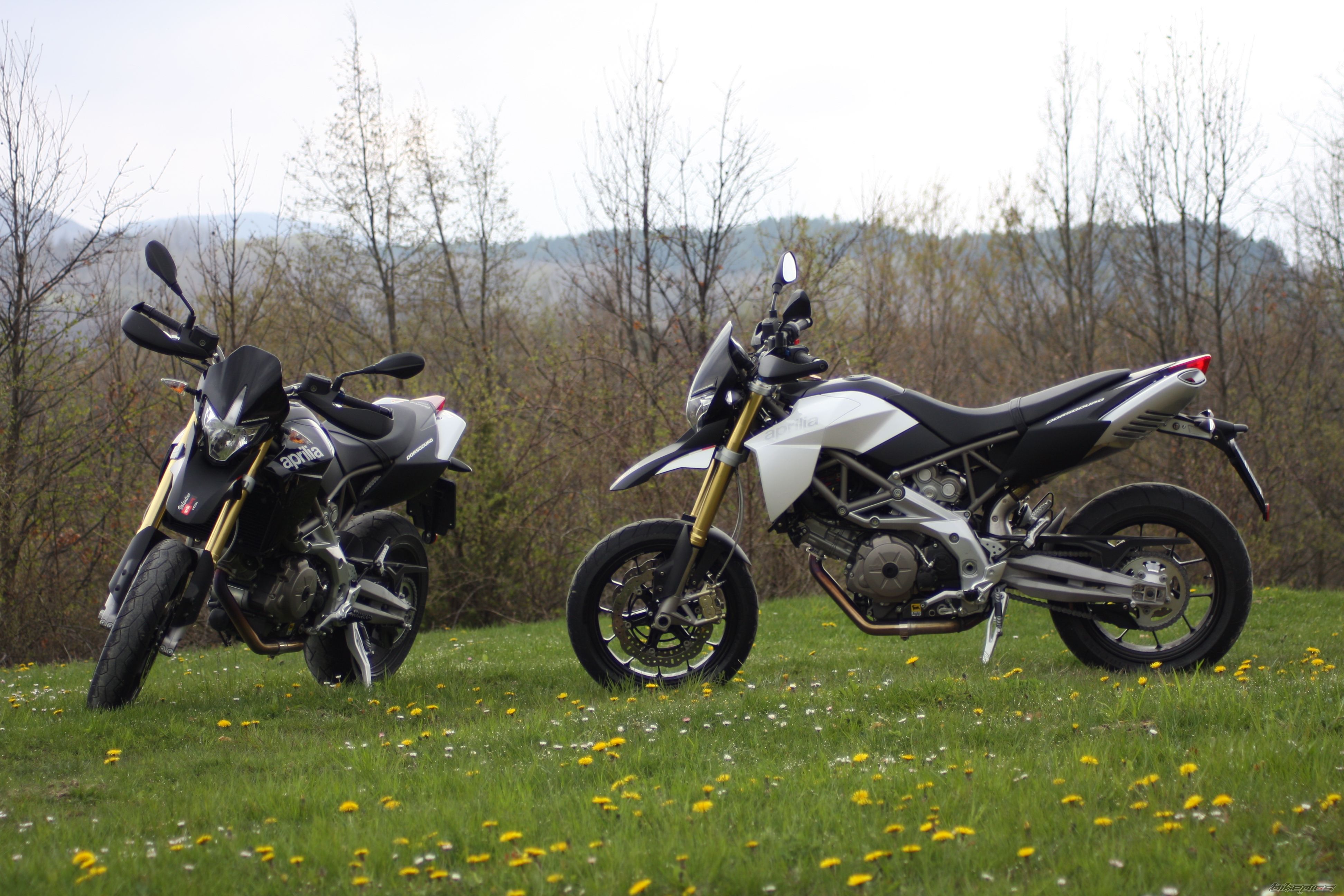 Bike Photo 1654155