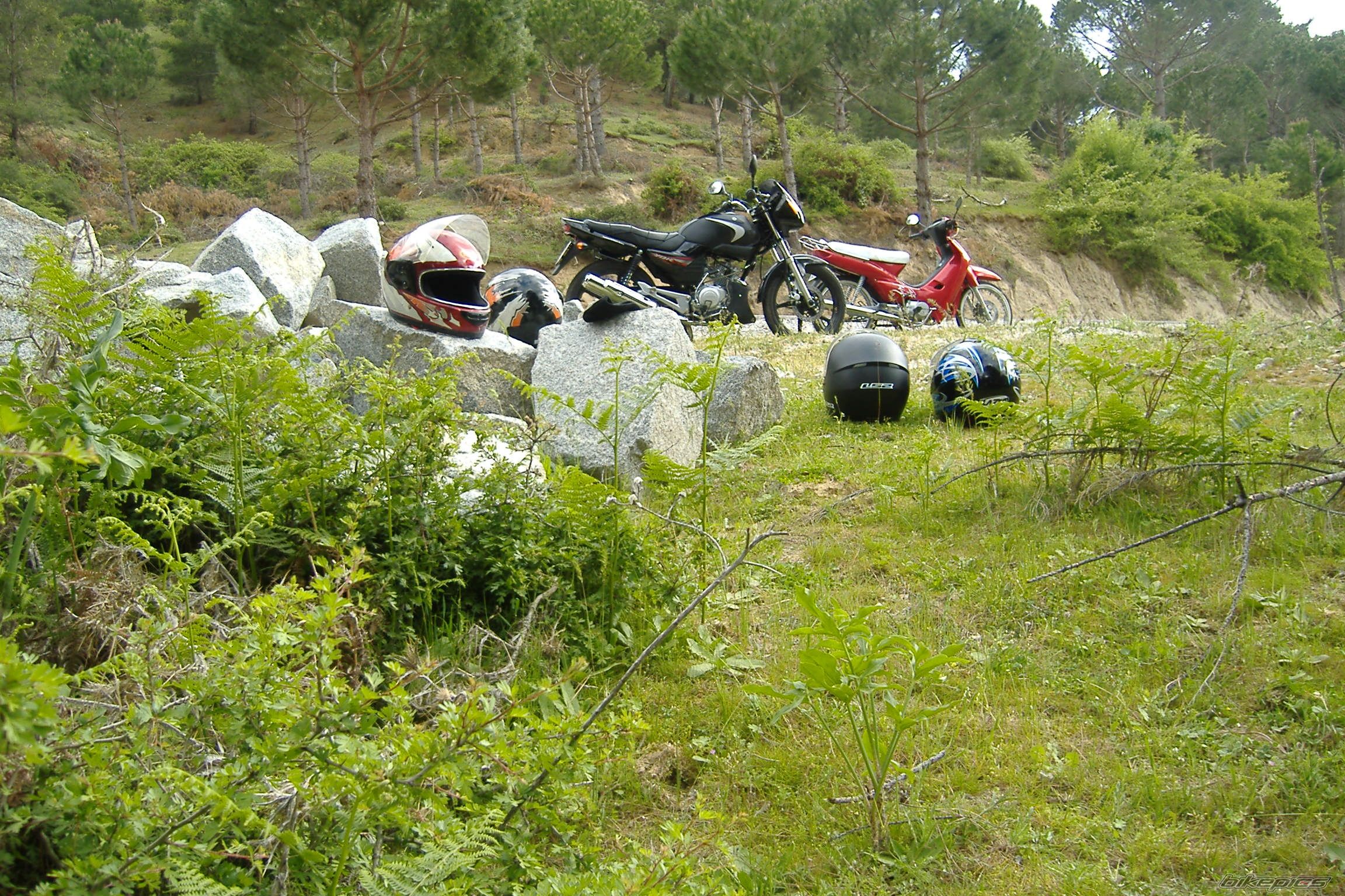 Photo 1654164