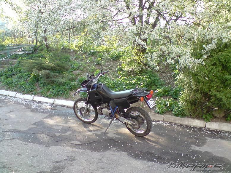 Bike Photo 1654195