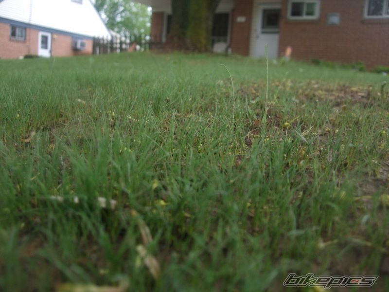 Photo 1654218