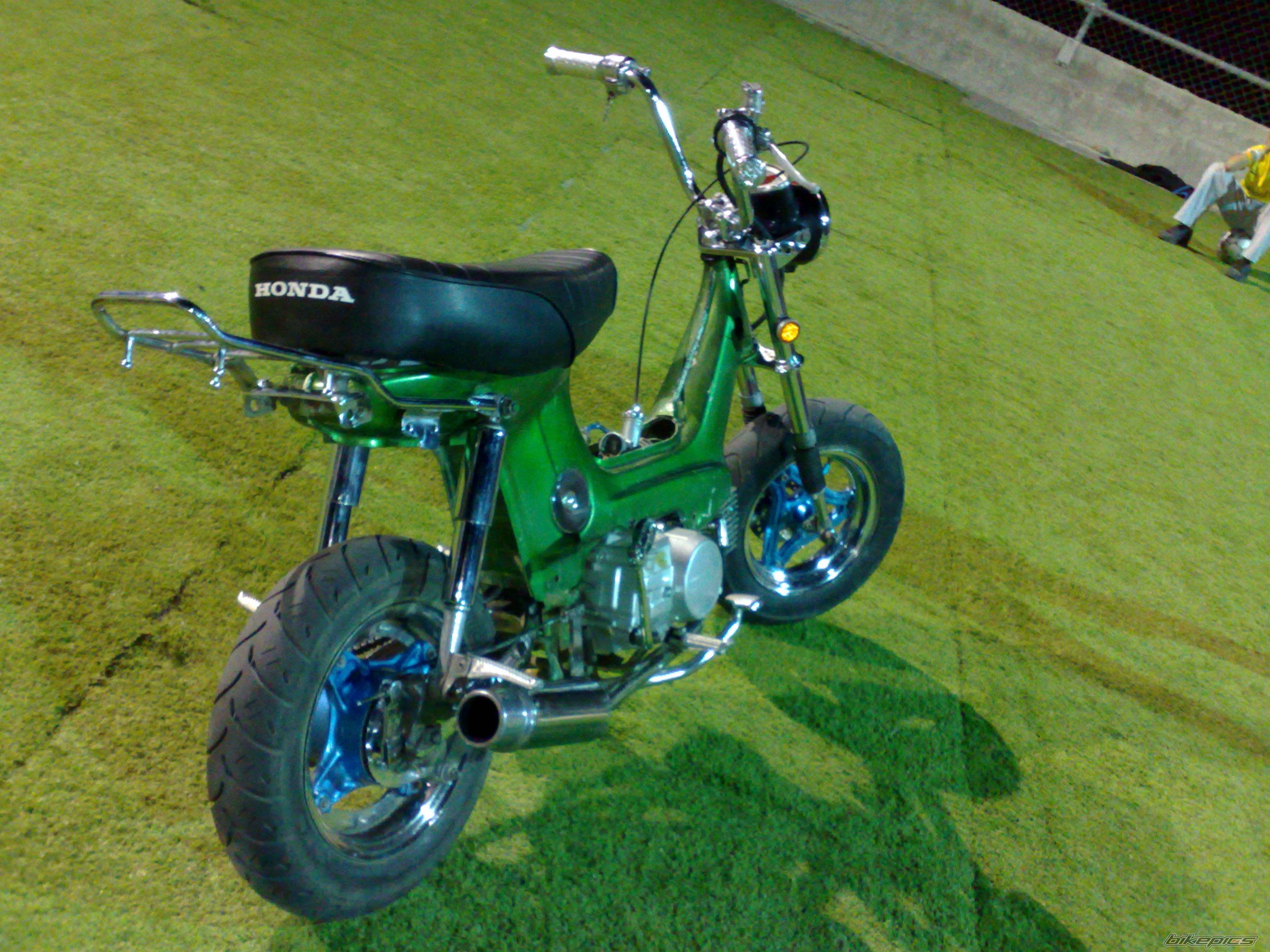 Photo 1654243