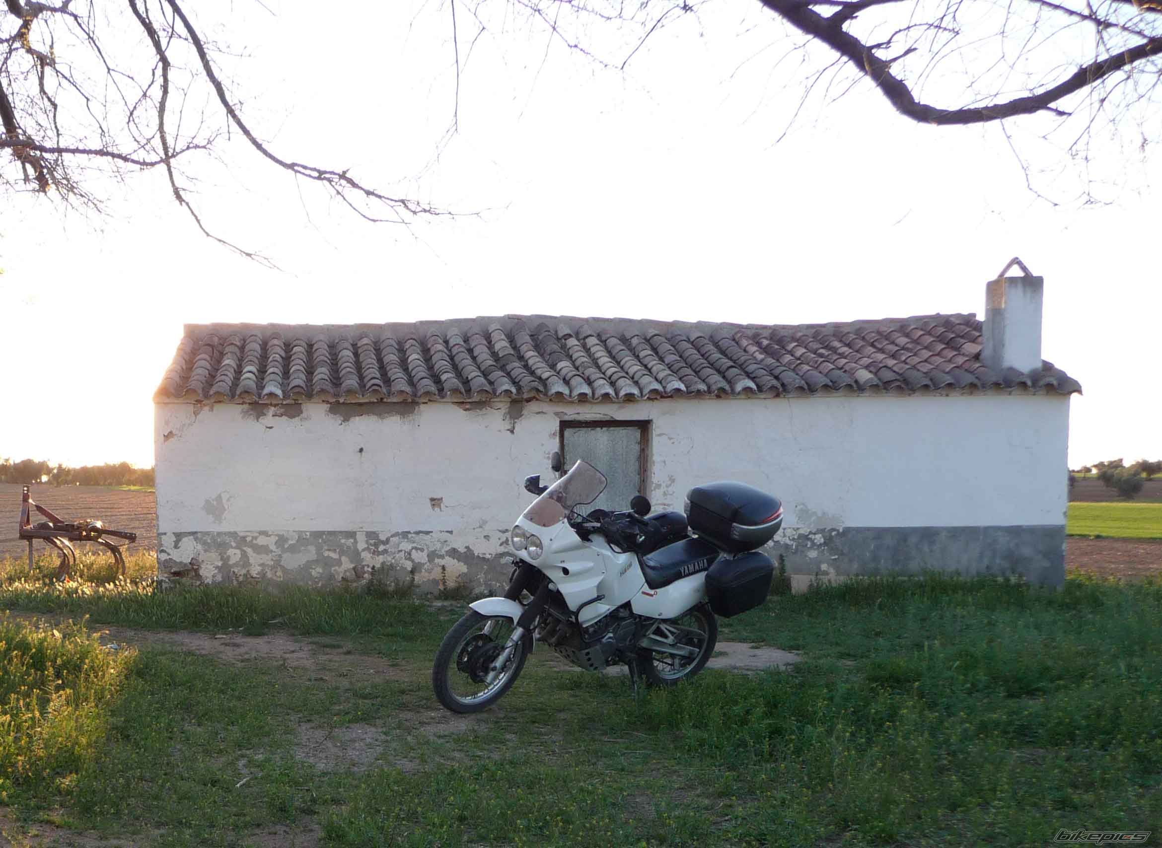 Photo 1654276