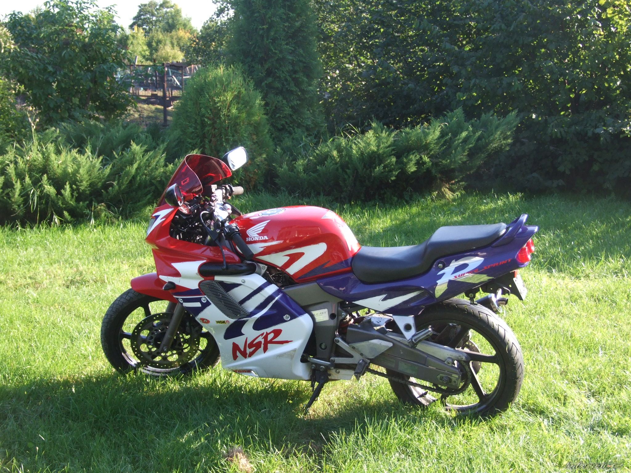 Photo 1654278